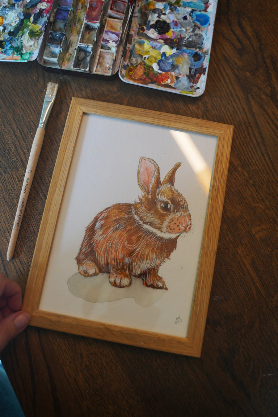 Hare