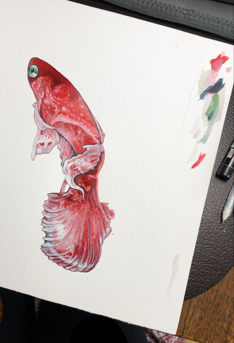 Fisk