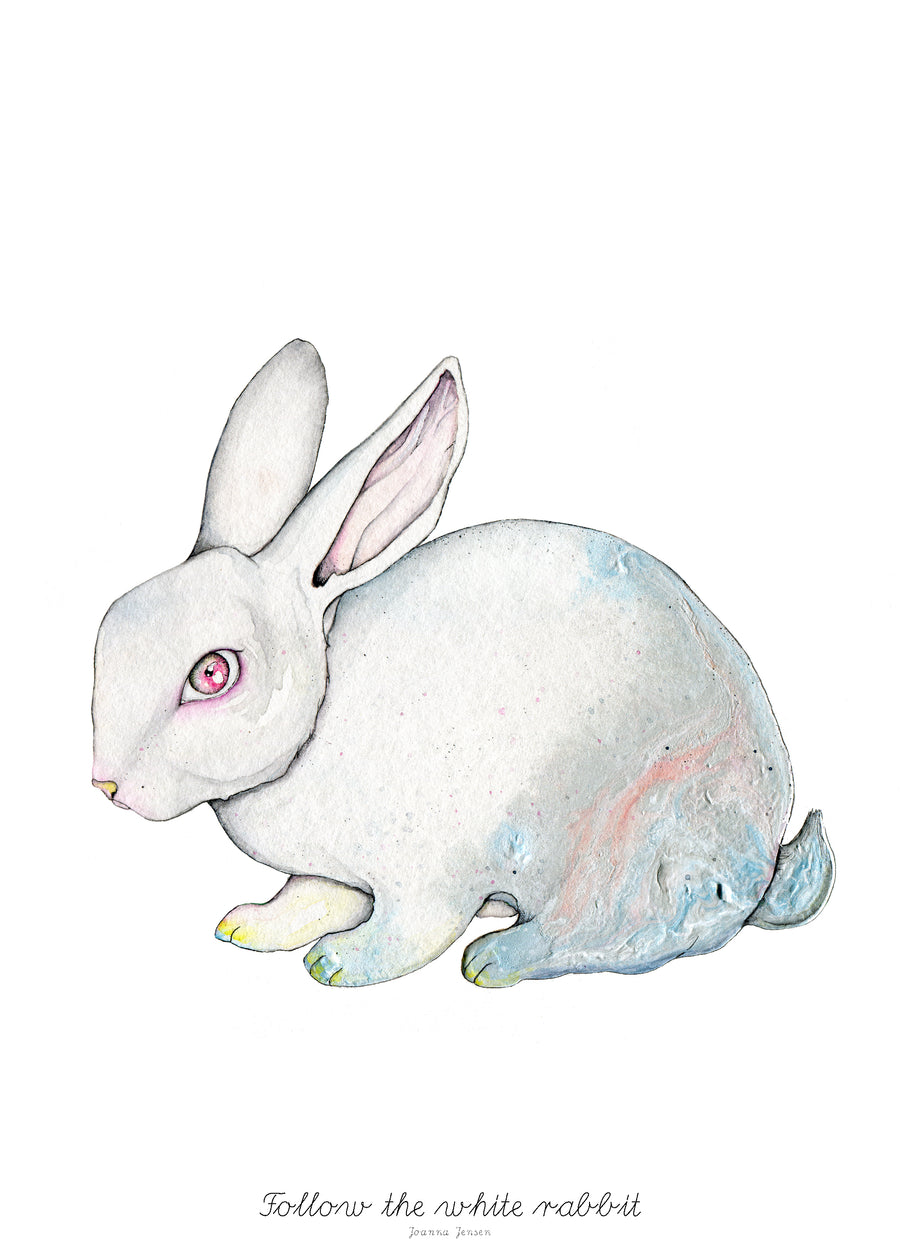 Follow the white rabbit