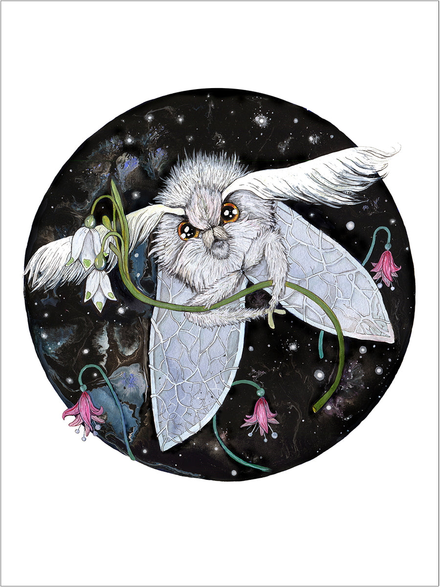 Hester the Poodle Moth