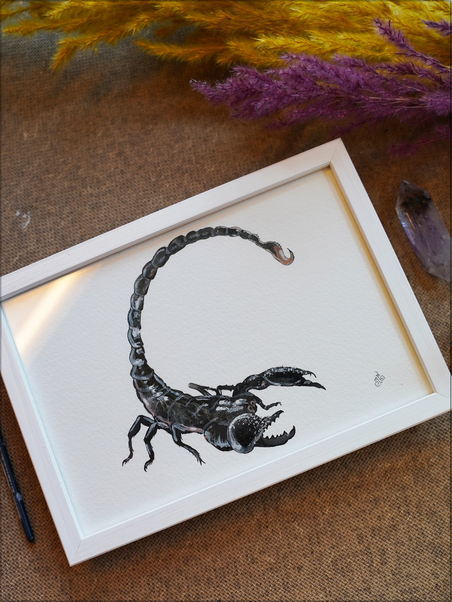 Skorpion (original)