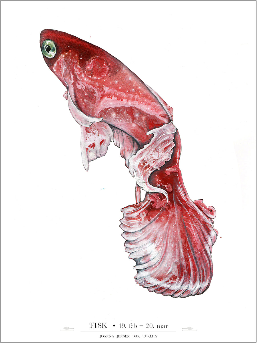 Fisk