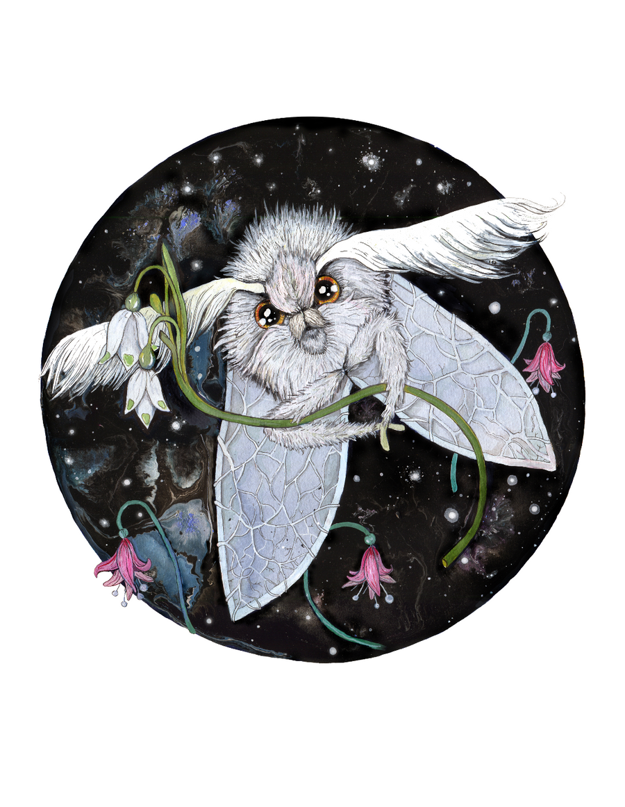 Hester the Poodle Moth