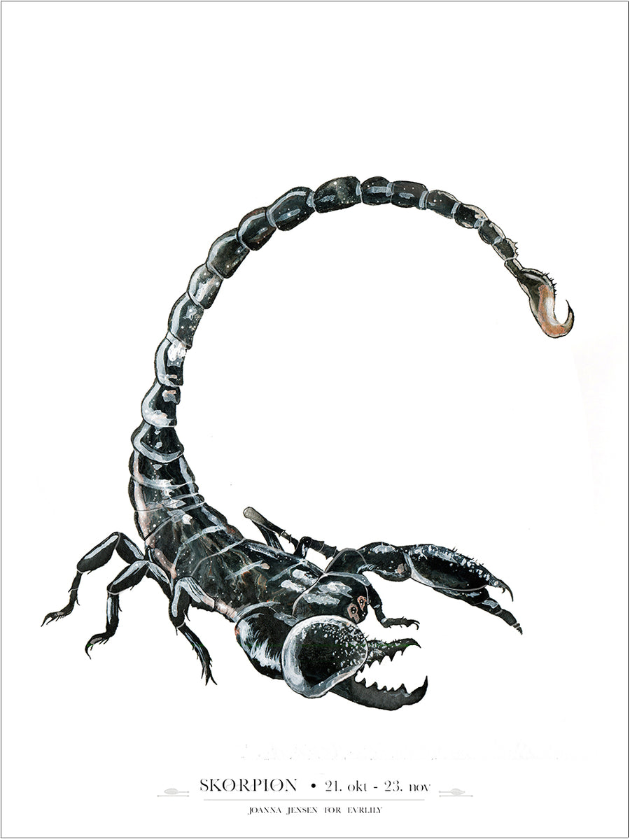 Skorpion